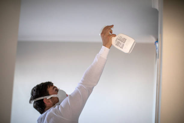 Best Best Mold Removal Companies  in Clay Center, KS