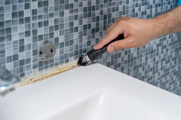 Best Home Mold Removal  in Clay Center, KS