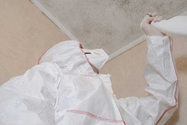 Best Certified Mold Removal  in Clay Center, KS